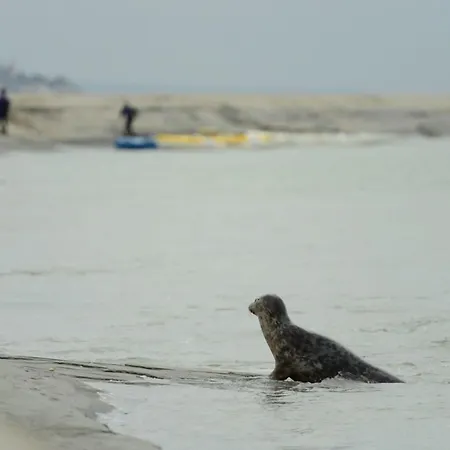 Ancienne Bergerie De 15 Pers En Baie De Somme Avec Grand Jardin Prive *