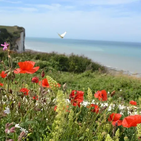 Ancienne Bergerie De 15 Pers En Baie De Somme Avec Grand Jardin Prive Bernay-en-Ponthieu